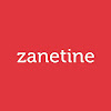 Zanetine - Website designer in Ajit Nagar, Amritsar